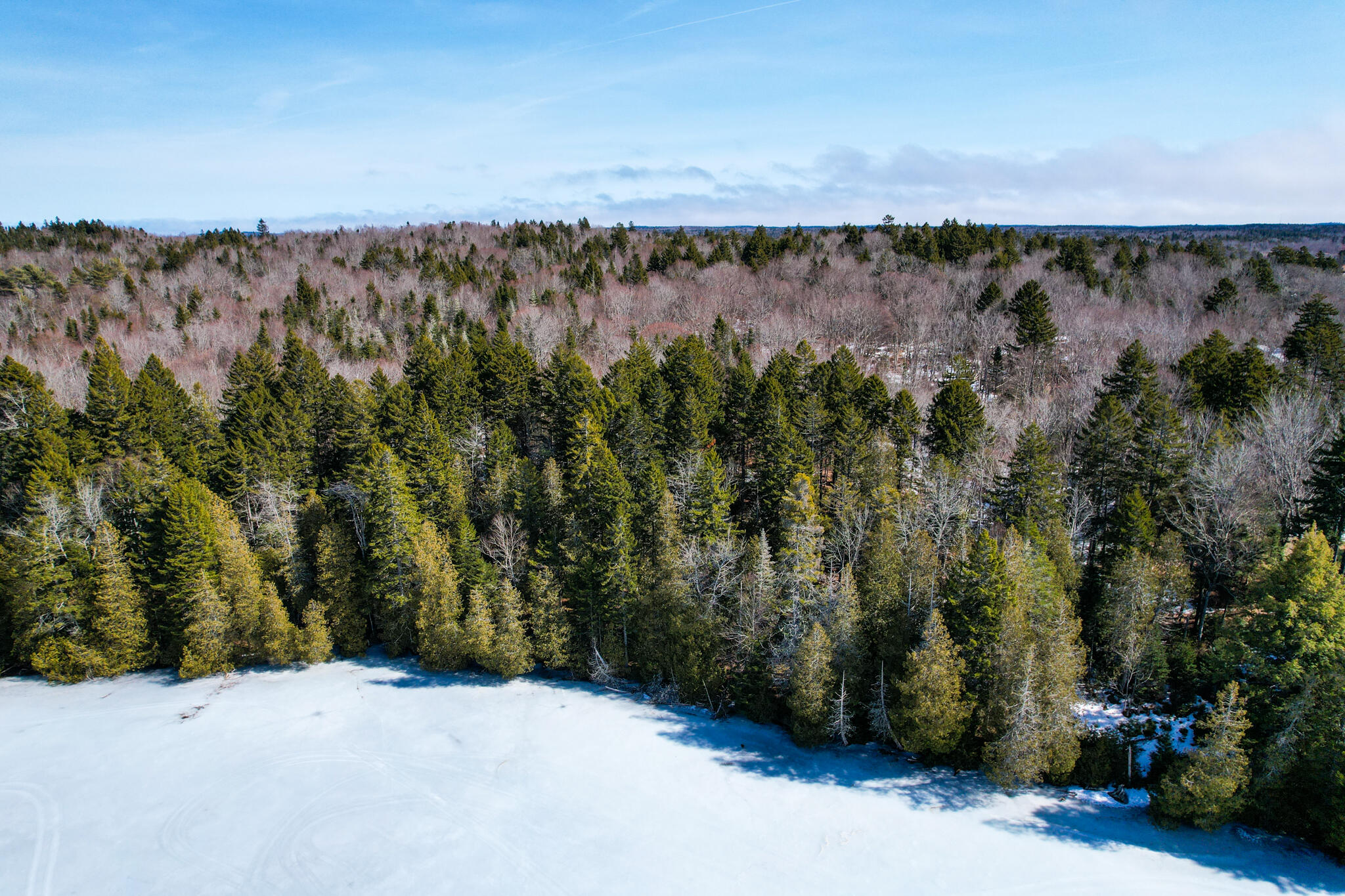 M19-l13-c Halls Mills Road Whiting, ME 04691 - Photo 11 of 21 Map19Lot13-C-03