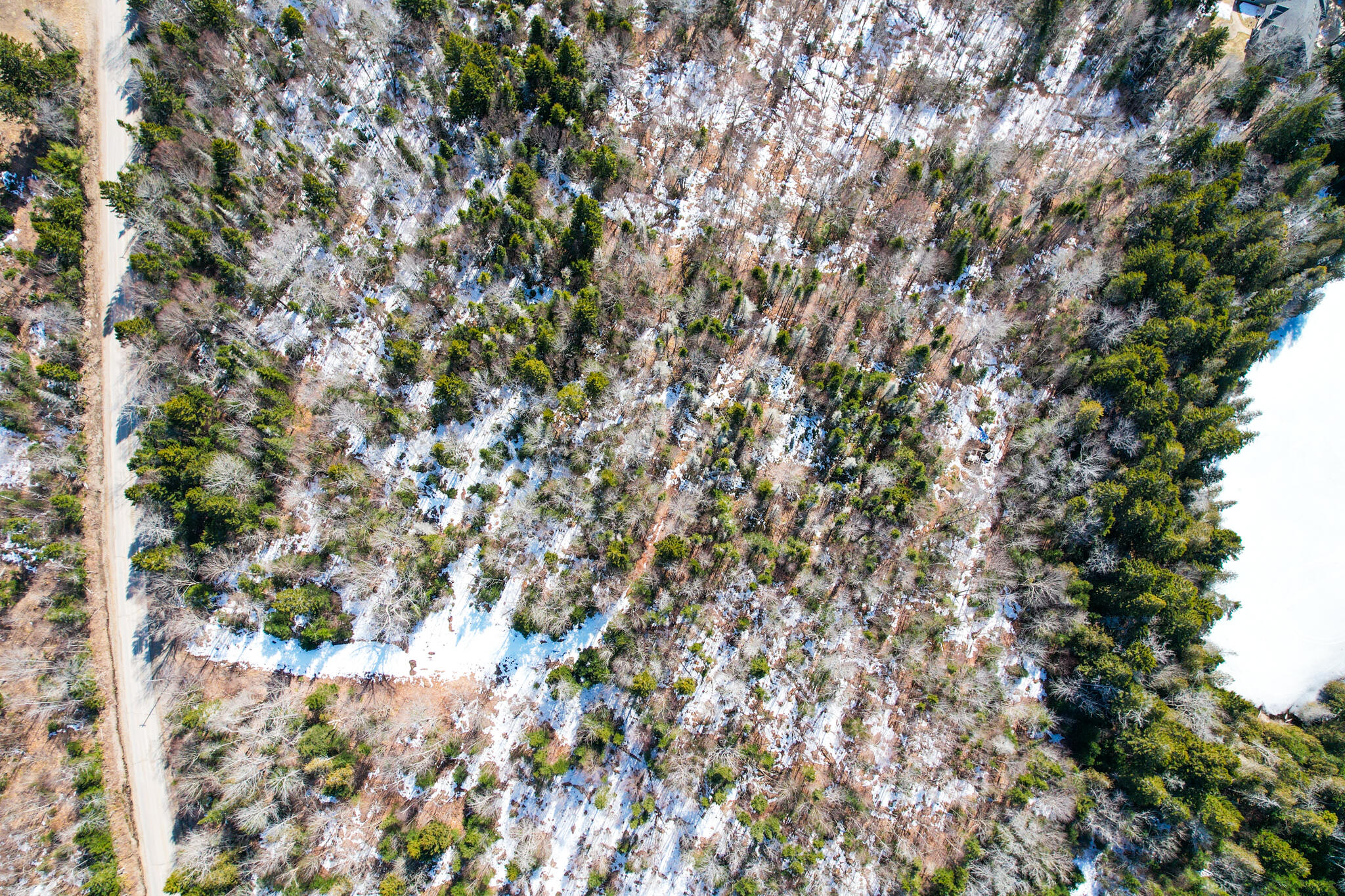 M19-l13-c Halls Mills Road Whiting, ME 04691 - Photo 12 of 21 Map19Lot13-C-06