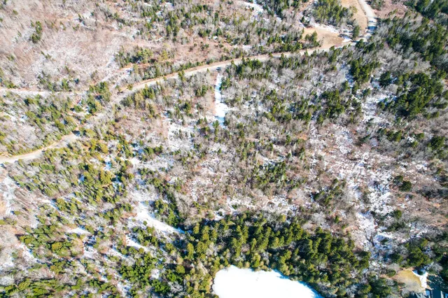 $120,000 | M19-l13-c Halls Mills Road, Whiting, ME 04691