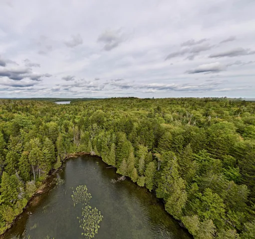 $120,000 | M19-l13-c Halls Mills Road, Whiting, ME 04691