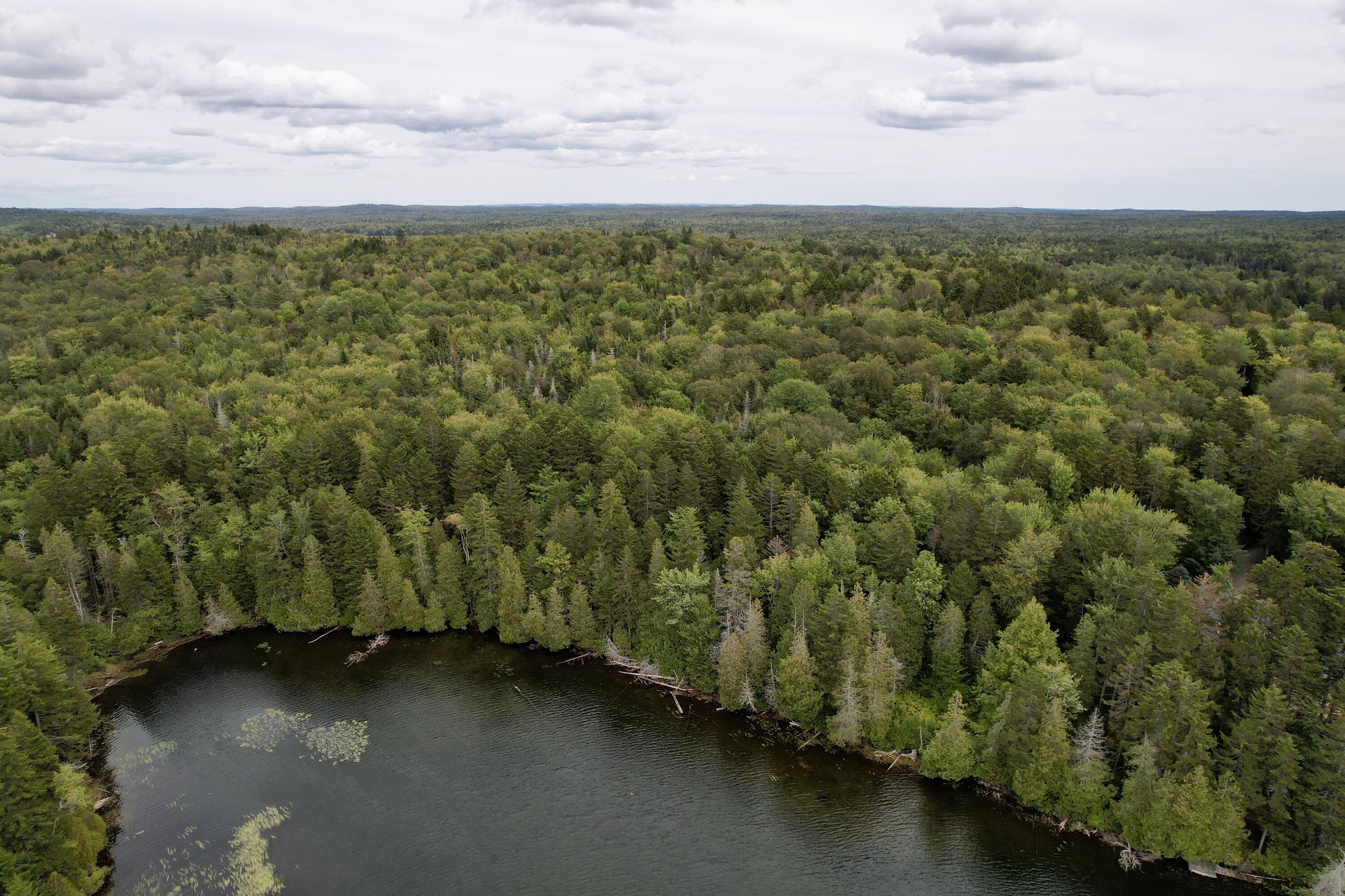 M19-l13-c Halls Mills Road Whiting, ME 04691 - Photo 3 of 21 dji_fly_20250908_141404_506_175735719441