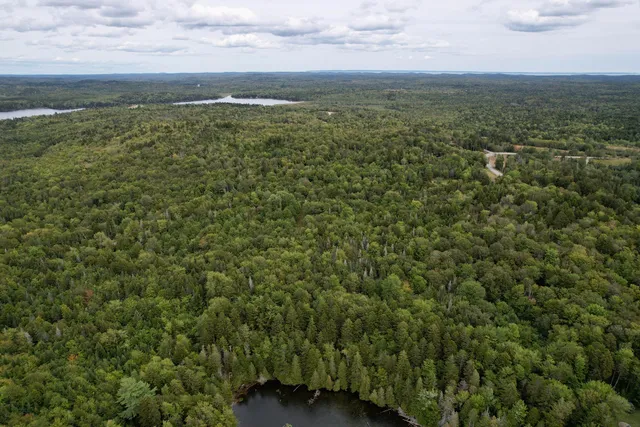 $120,000 | M19-l13-c Halls Mills Road, Whiting, ME 04691