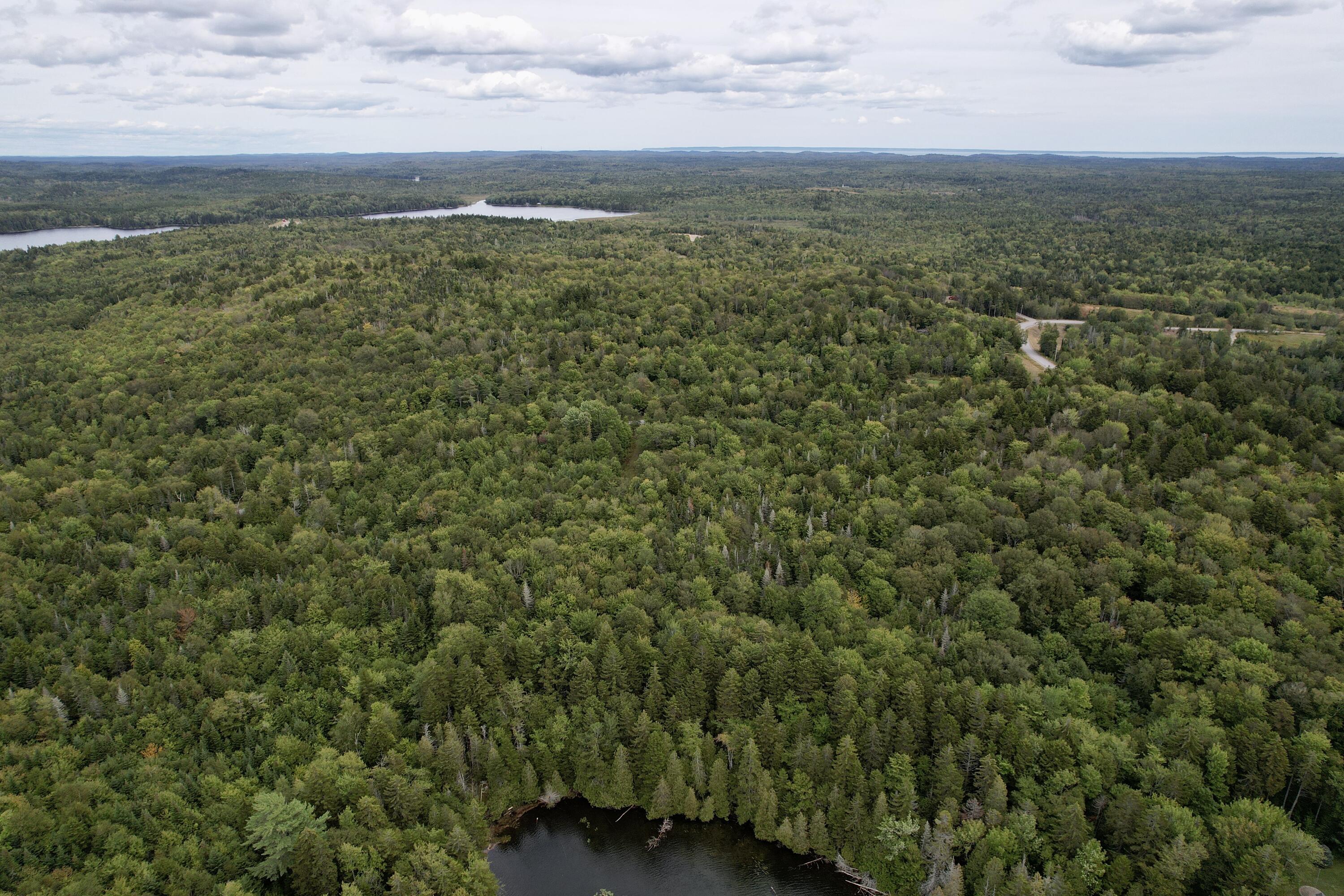 M19-l13-c Halls Mills Road Whiting, ME 04691 - Photo 4 of 21 dji_fly_20250908_141350_505_175735719610