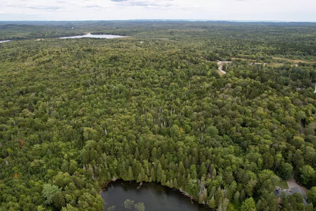 $120,000 | M19-l13-c Halls Mills Road, Whiting, ME 04691