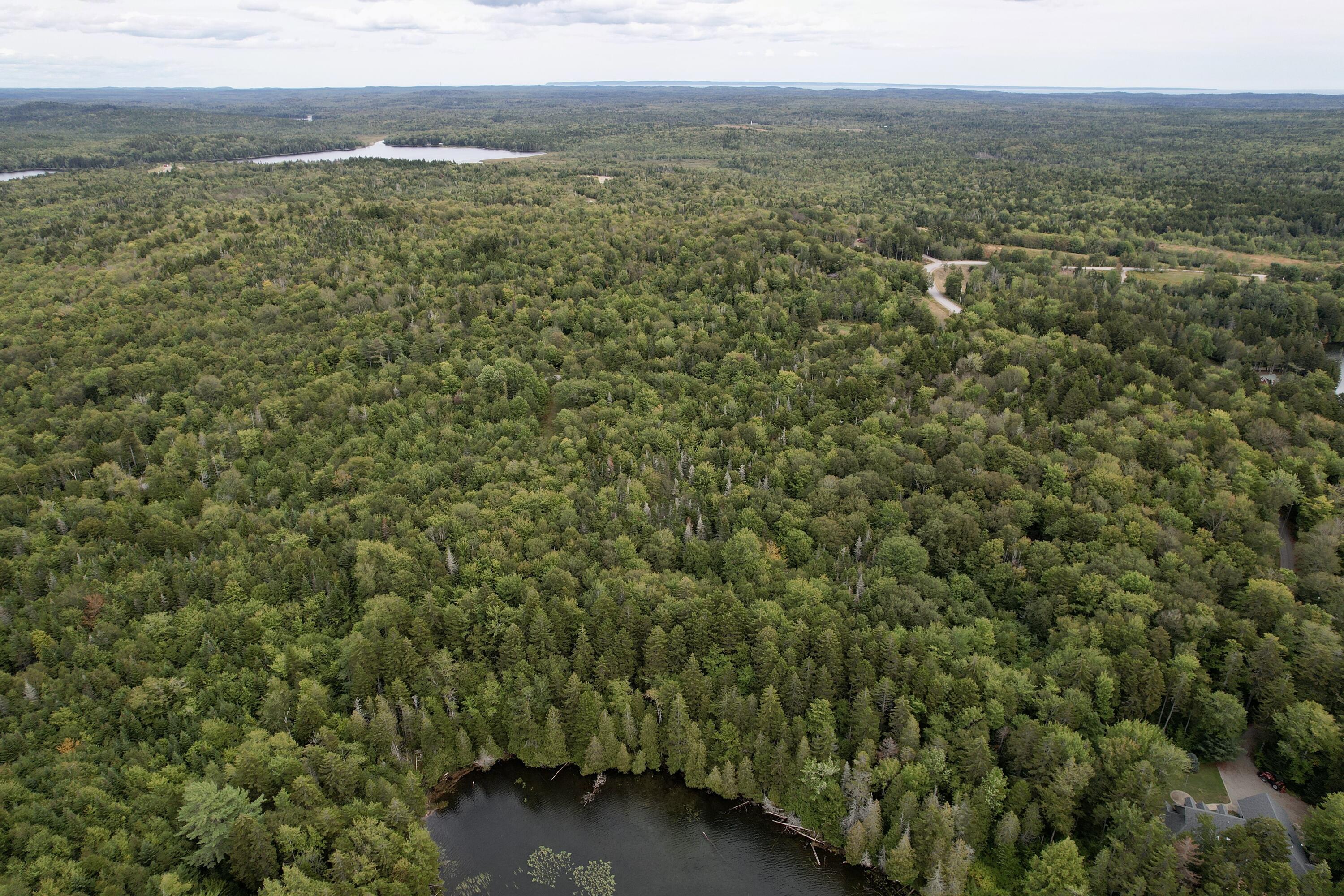 M19-l13-c Halls Mills Road Whiting, ME 04691 - Photo 5 of 21 dji_fly_20250908_141346_504_175735719779