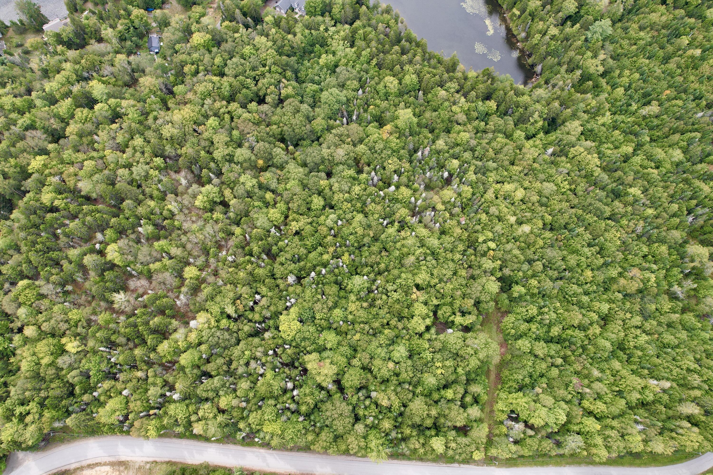 M19-l13-c Halls Mills Road Whiting, ME 04691 - Photo 6 of 21 dji_fly_20250908_141258_503_175735719999