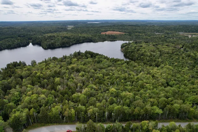 $120,000 | M19-l13-c Halls Mills Road, Whiting, ME 04691