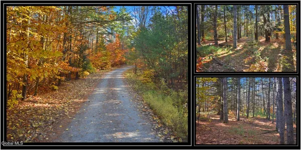 $59,500 | L7 Macglashan Lane, Chestertown, NY 12817