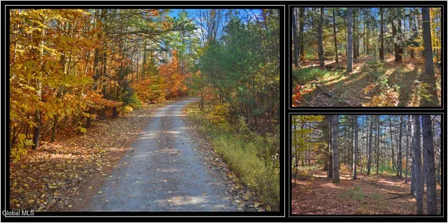 $69,000 | L7 Macglashan Lane, Chestertown, NY 12817