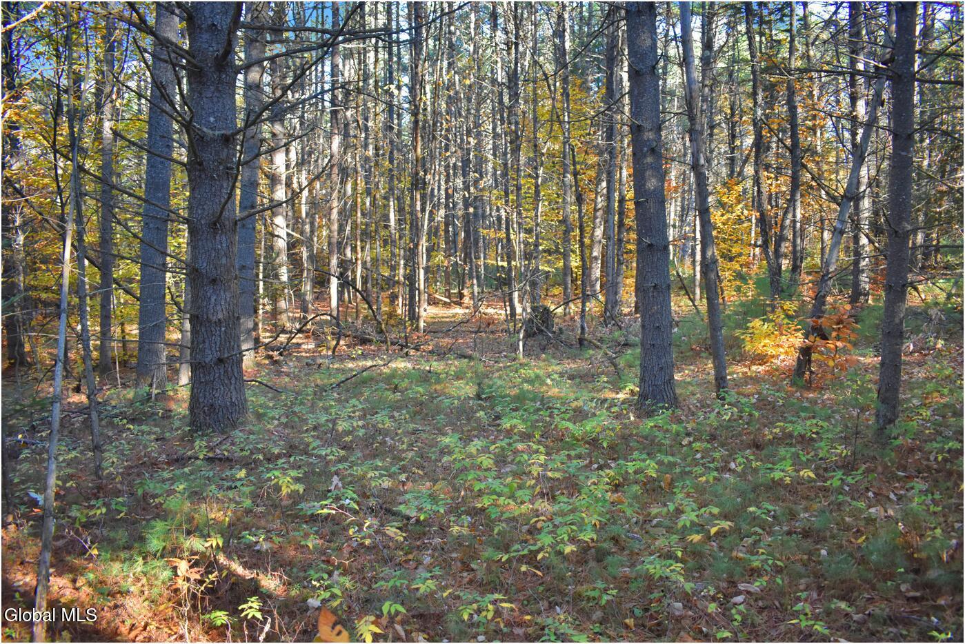 L7 Macglashan Lane Chestertown, NY 12817 - Photo 11 of 31 f8