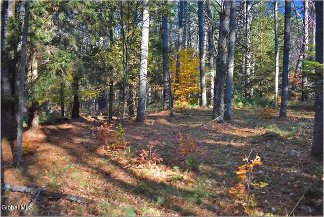 $69,000 | L7 Macglashan Lane, Chestertown, NY 12817