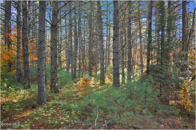 $69,000 | L7 Macglashan Lane, Chestertown, NY 12817