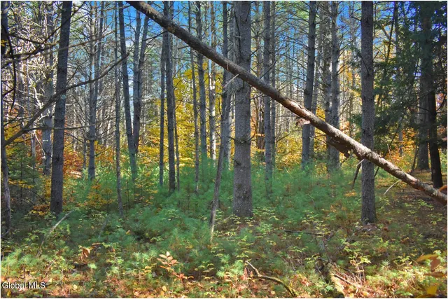 $65,000 | L7 Macglashan Lane, Chestertown, NY 12817