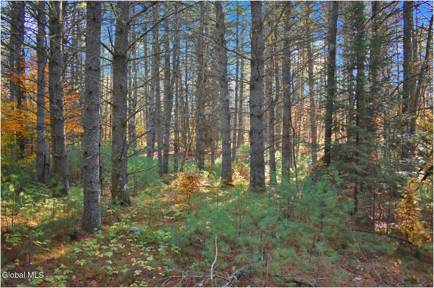 L7 Macglashan Lane Chestertown, NY 12817 - Photo 14 of 31 f13