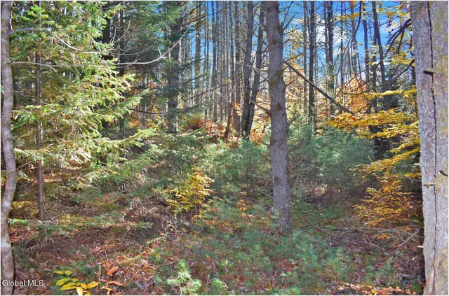 $69,000 | L7 Macglashan Lane, Chestertown, NY 12817