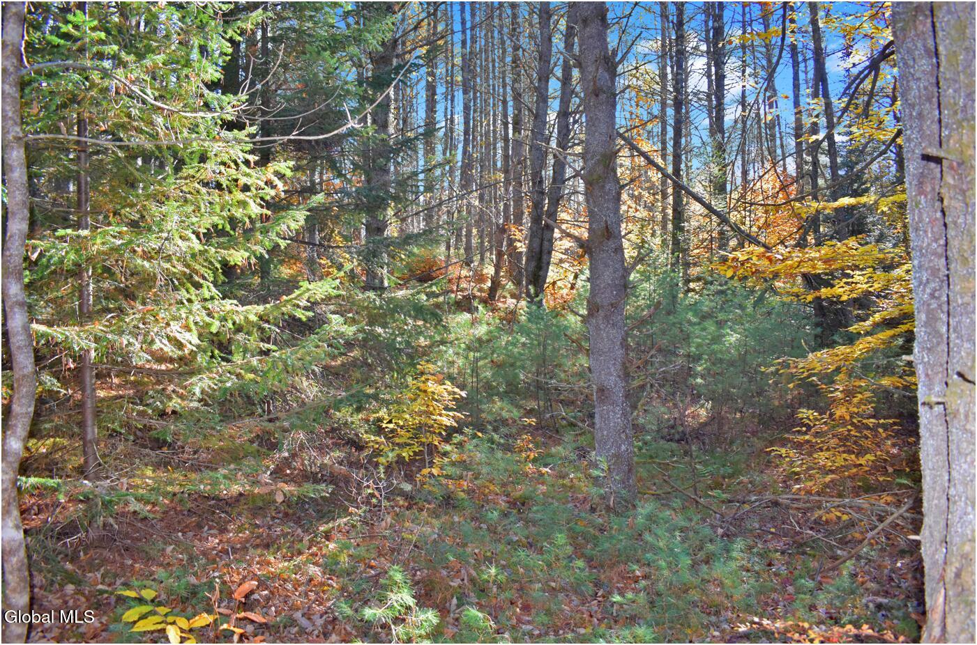 L7 Macglashan Lane Chestertown, NY 12817 - Photo 15 of 31 f12