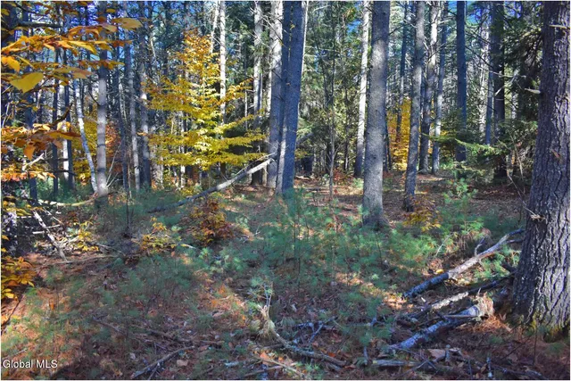 $69,000 | L7 Macglashan Lane, Chestertown, NY 12817