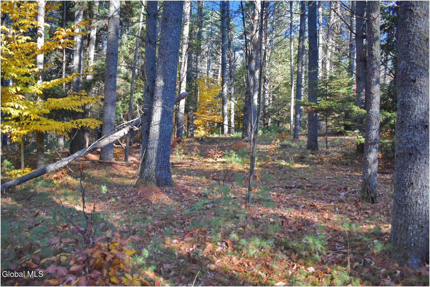 L7 Macglashan Lane Chestertown, NY 12817 - Photo 16 of 31 f6