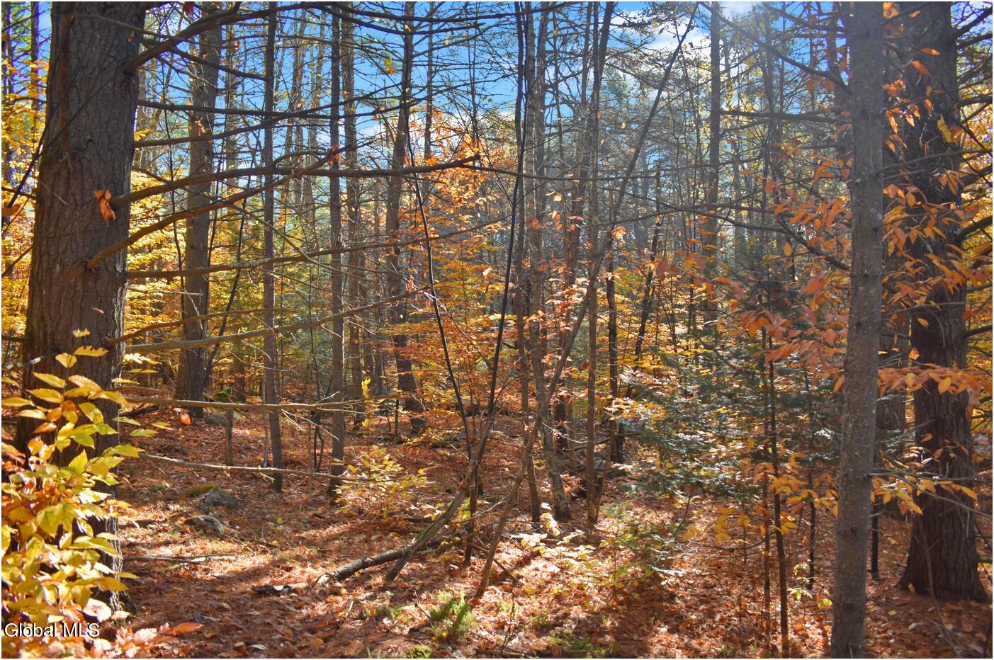 L7 Macglashan Lane Chestertown, NY 12817 - Photo 18 of 31 f3