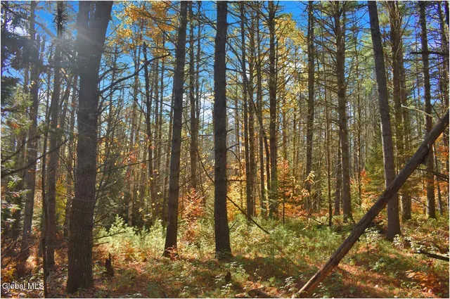 $69,000 | L7 Macglashan Lane, Chestertown, NY 12817