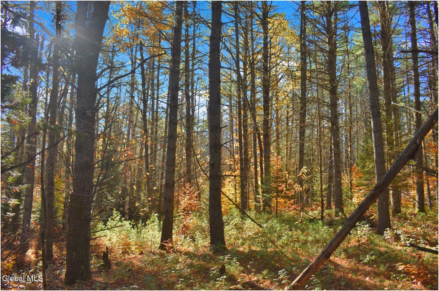 L7 Macglashan Lane Chestertown, NY 12817 - Photo 19 of 31 f17