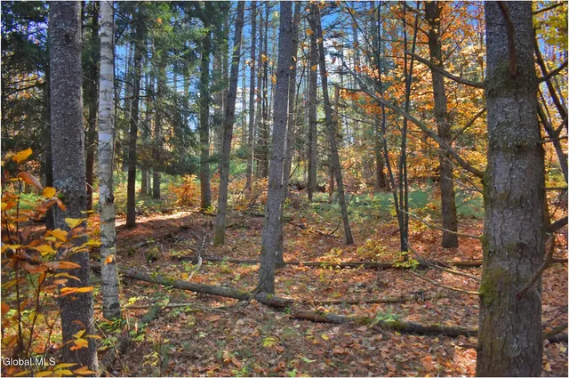 $65,000 | L7 Macglashan Lane, Chestertown, NY 12817