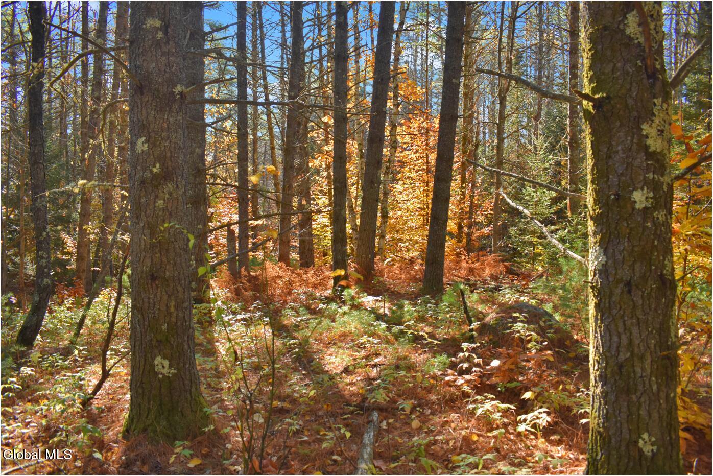 L7 Macglashan Lane Chestertown, NY 12817 - Photo 21 of 31 f18