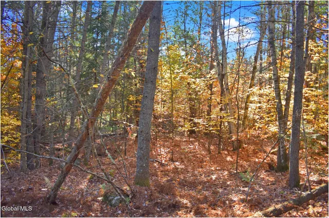 $65,000 | L7 Macglashan Lane, Chestertown, NY 12817