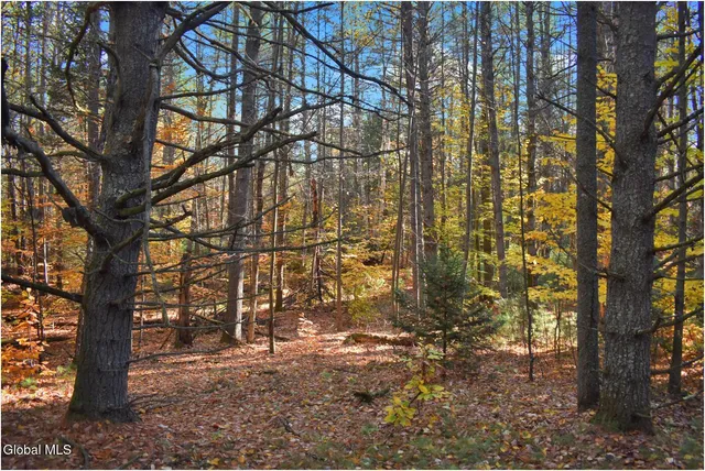 $65,000 | L7 Macglashan Lane, Chestertown, NY 12817