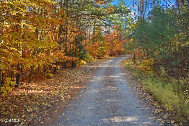 $65,000 | L7 Macglashan Lane, Chestertown, NY 12817