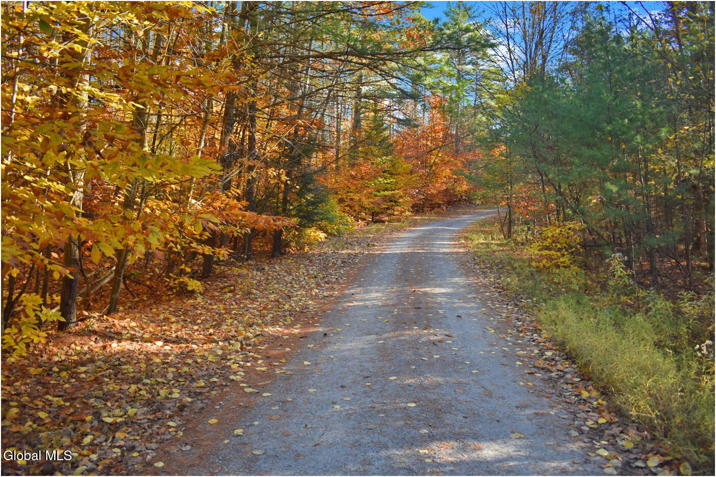 L7 Macglashan Lane Chestertown, NY 12817 - Photo 4 of 31 f1