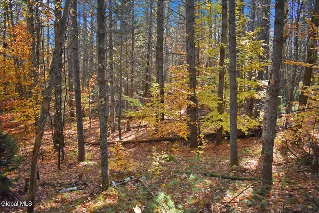 $69,000 | L7 Macglashan Lane, Chestertown, NY 12817