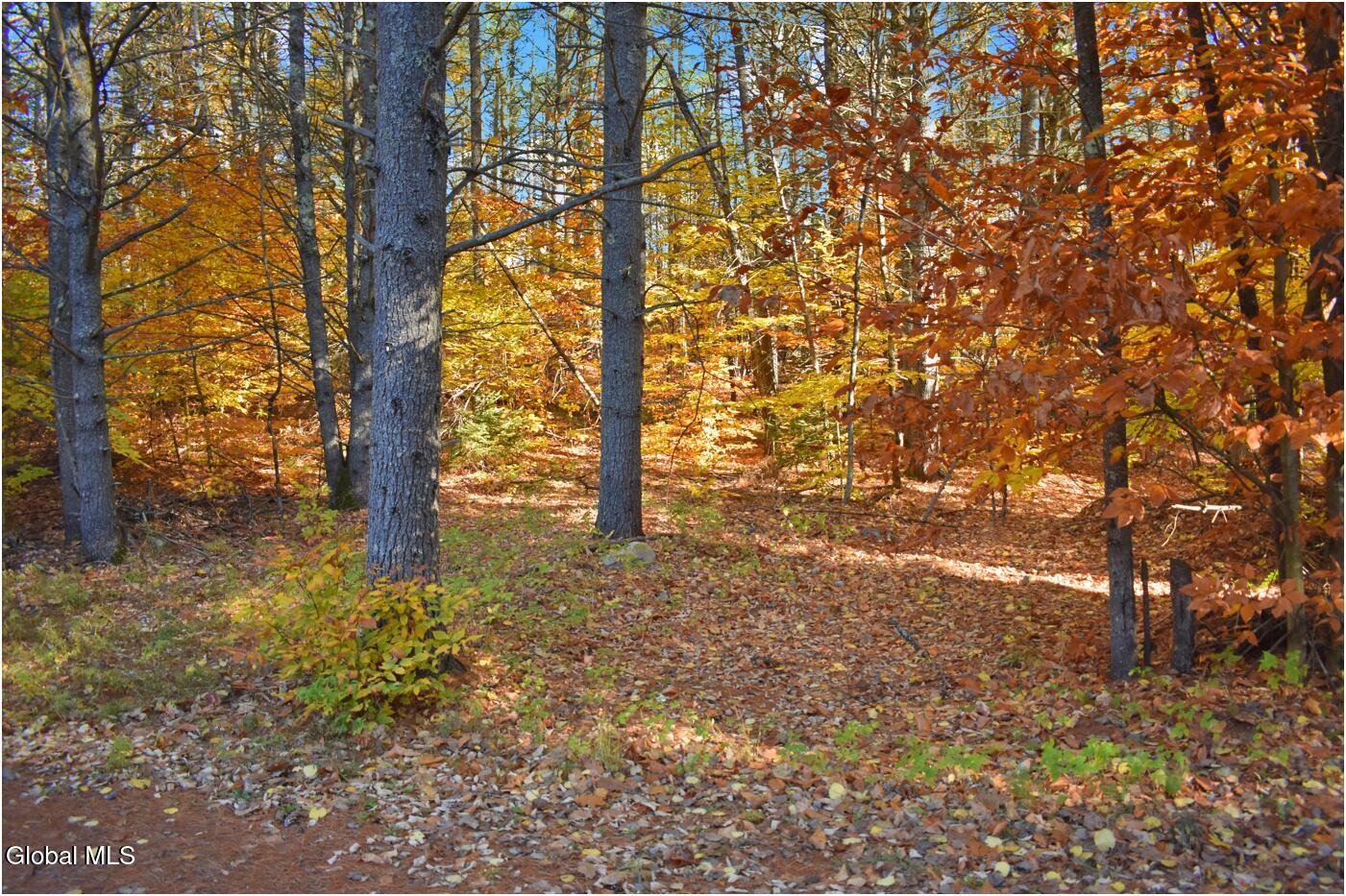 L7 Macglashan Lane Chestertown, NY 12817 - Photo 5 of 31 f2