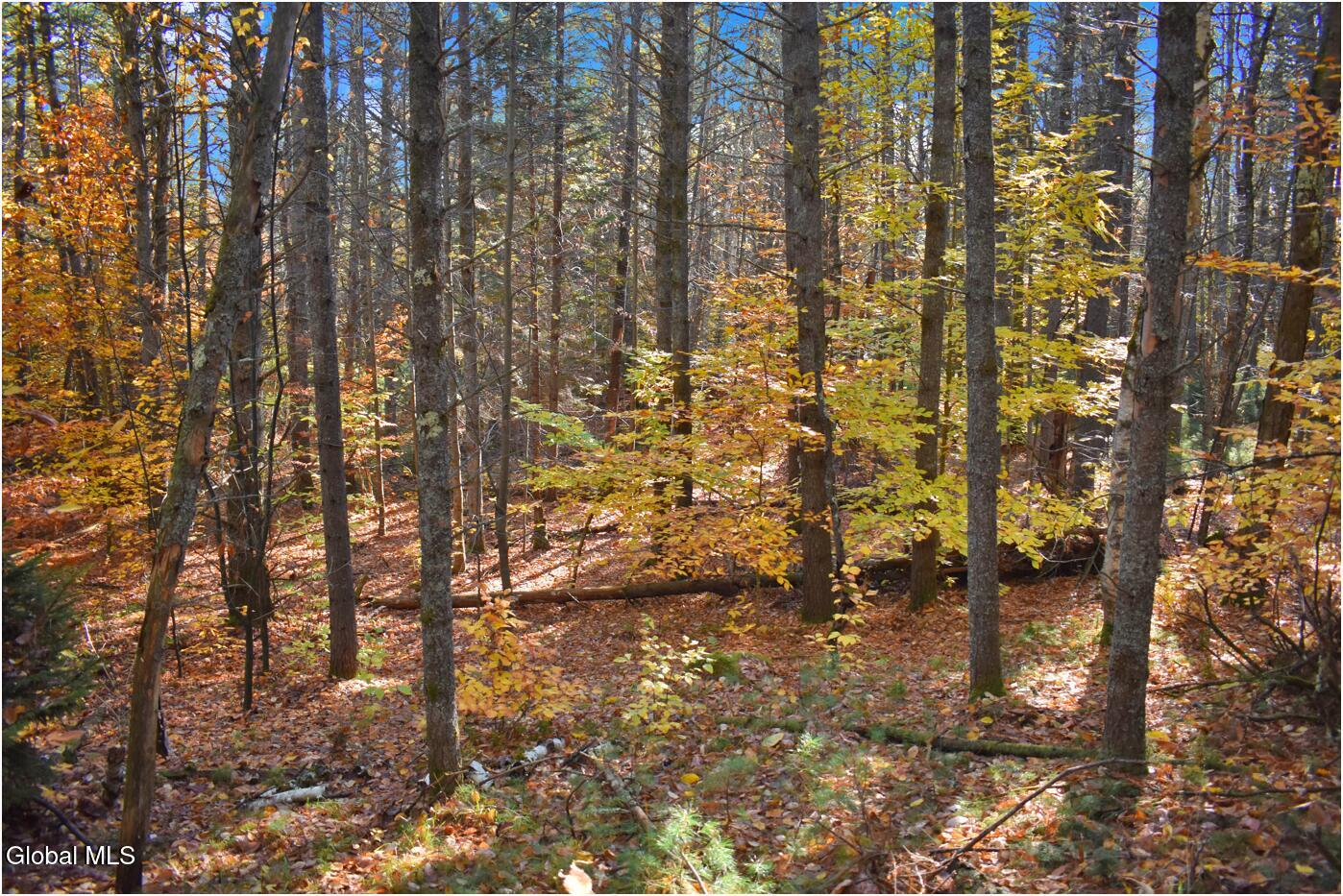 L7 Macglashan Lane Chestertown, NY 12817 - Photo 6 of 31 f15