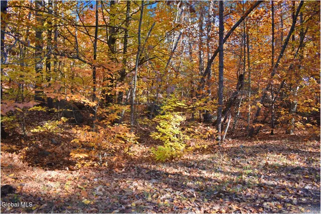 $65,000 | L7 Macglashan Lane, Chestertown, NY 12817