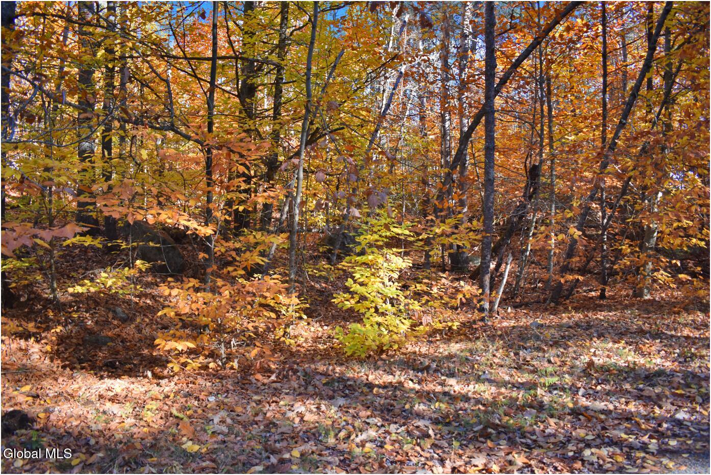 L7 Macglashan Lane Chestertown, NY 12817 - Photo 7 of 31 f20