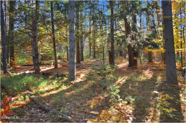 $65,000 | L7 Macglashan Lane, Chestertown, NY 12817