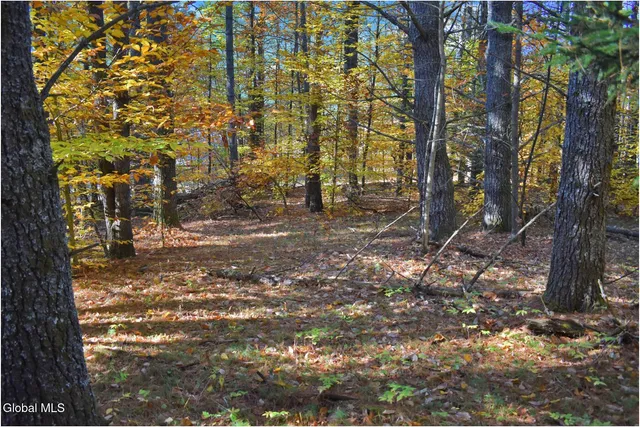 $69,000 | L7 Macglashan Lane, Chestertown, NY 12817