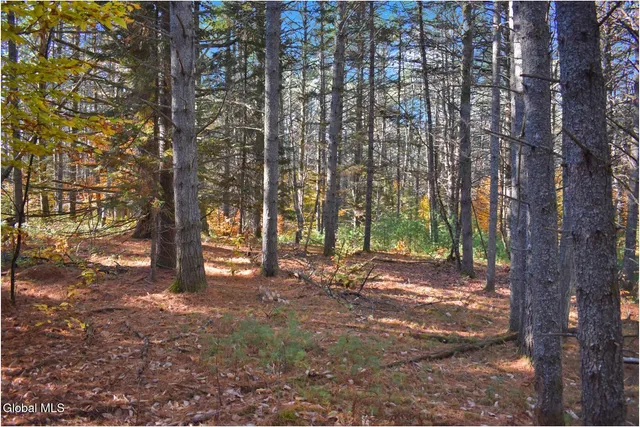 $69,000 | L7 Macglashan Lane, Chestertown, NY 12817