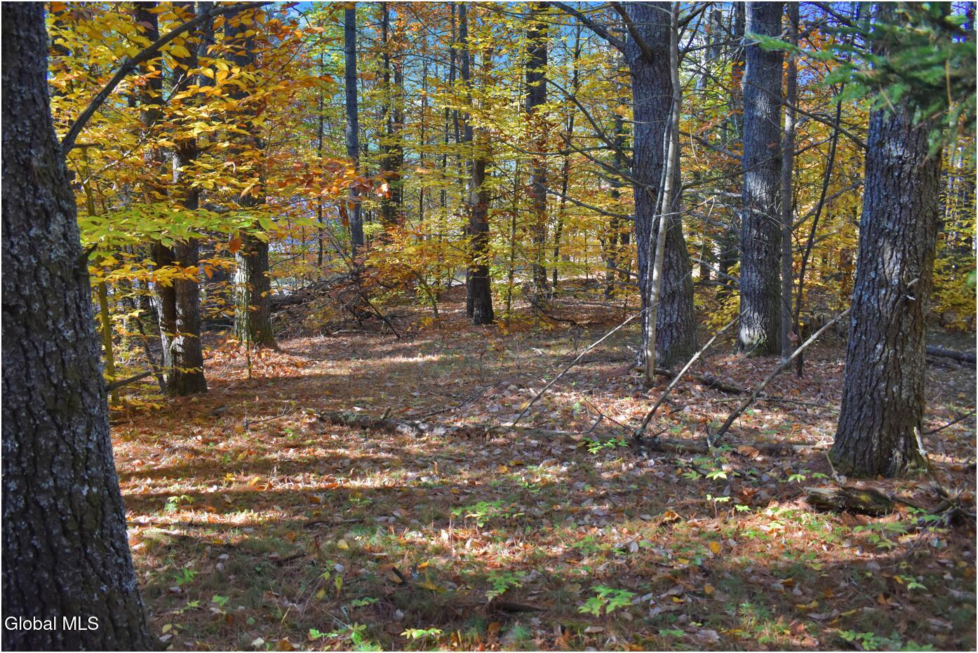 L7 Macglashan Lane Chestertown, NY 12817 - Photo 9 of 31 f4