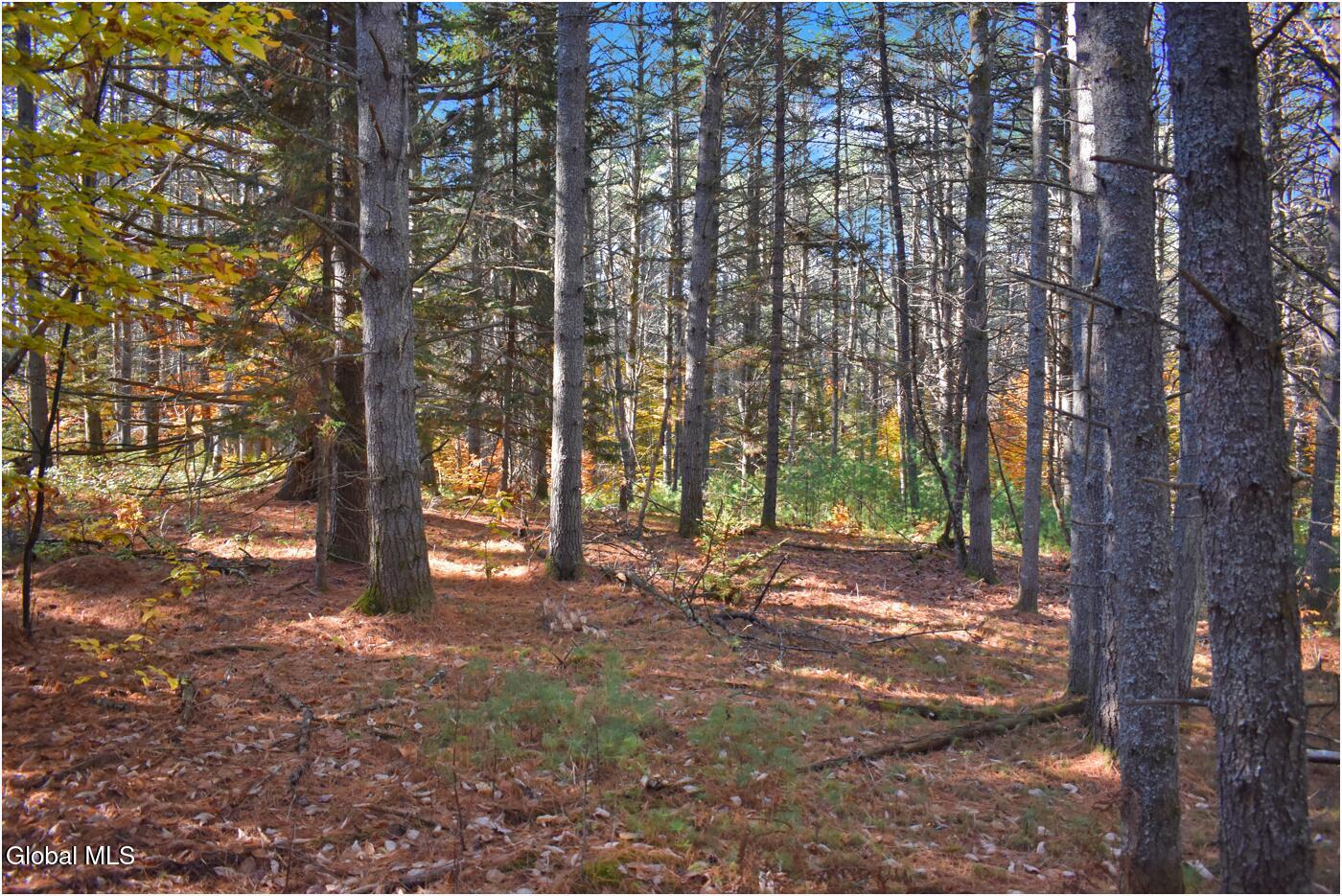 L7 Macglashan Lane Chestertown, NY 12817 - Photo 10 of 31 f16