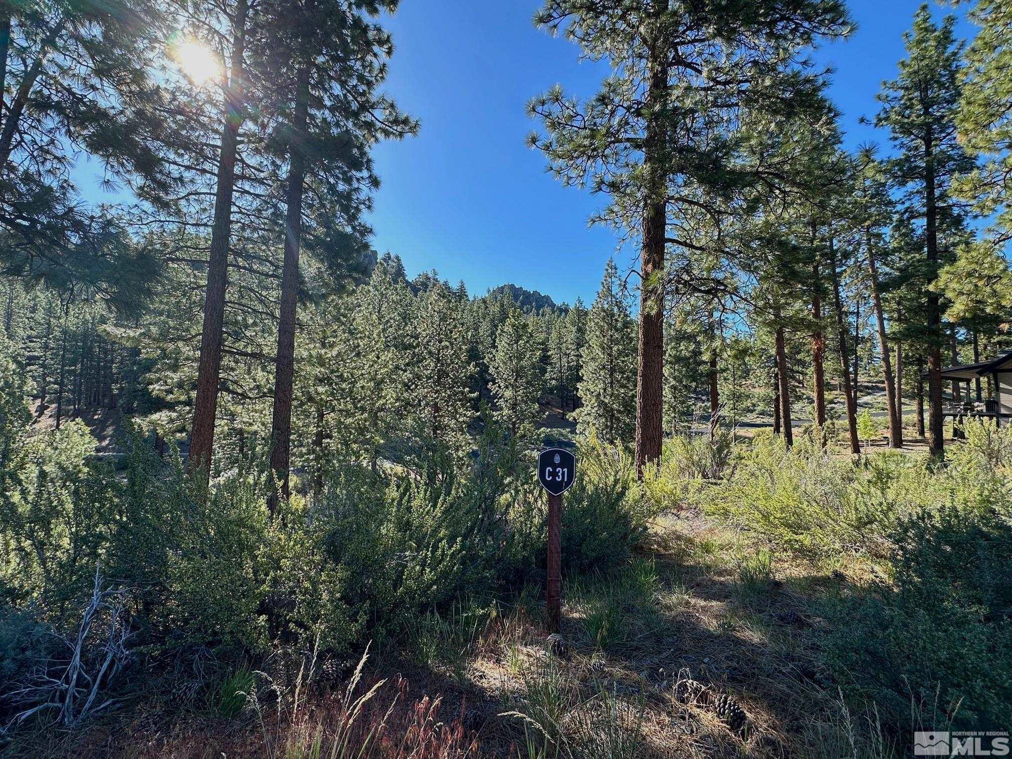 3237 Smt Cp Way, Unit C31 Carson City, NV 89705 - Photo 17 of 22 a view of outdoor space and trees