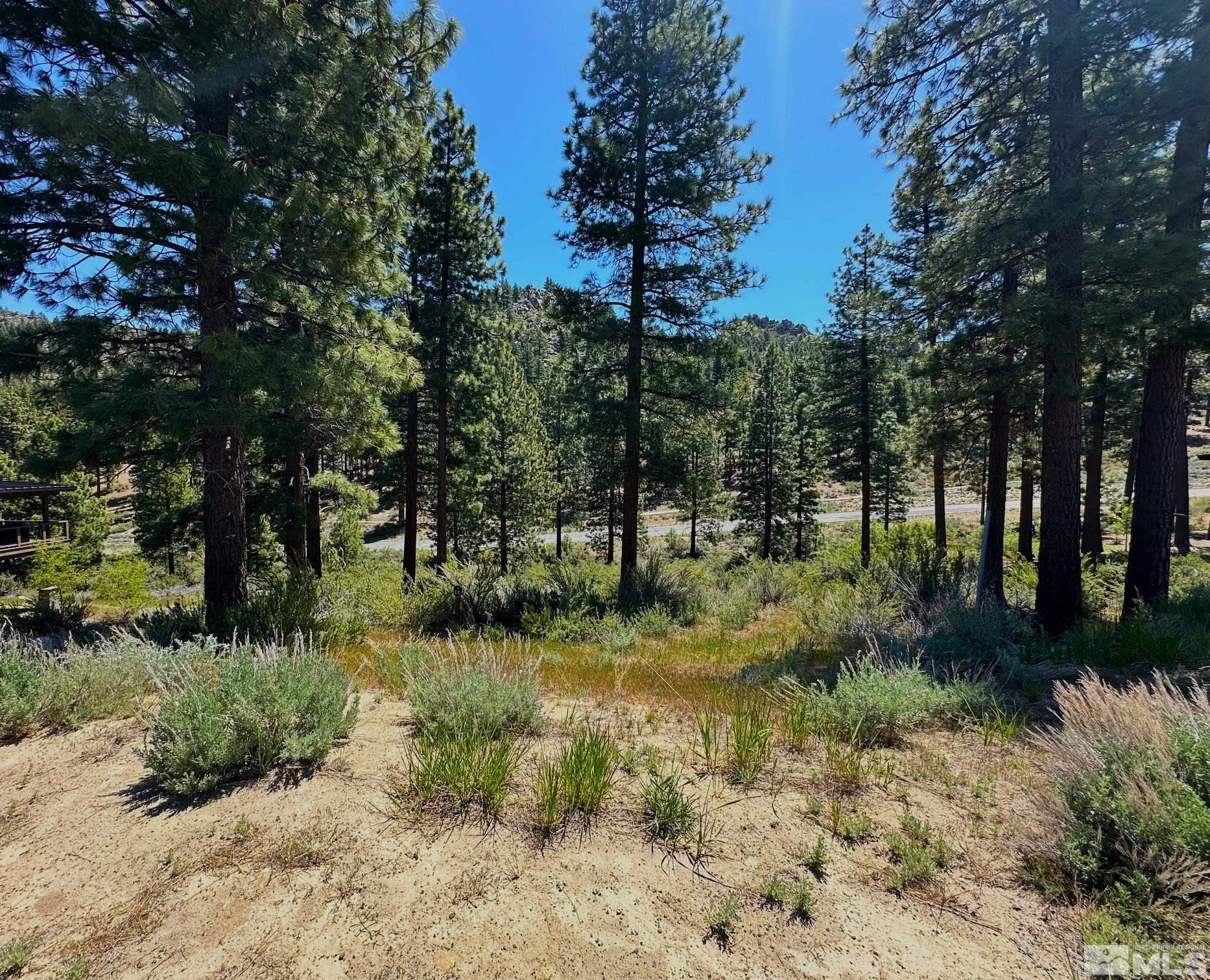 3237 Smt Cp Way, Unit C31 Carson City, NV 89705 - Photo 19 of 22 a view of backyard with green space