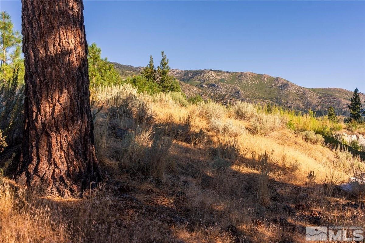 3237 Smt Cp Way, Unit C31 Carson City, NV 89705 - Photo 20 of 22 a view of lake