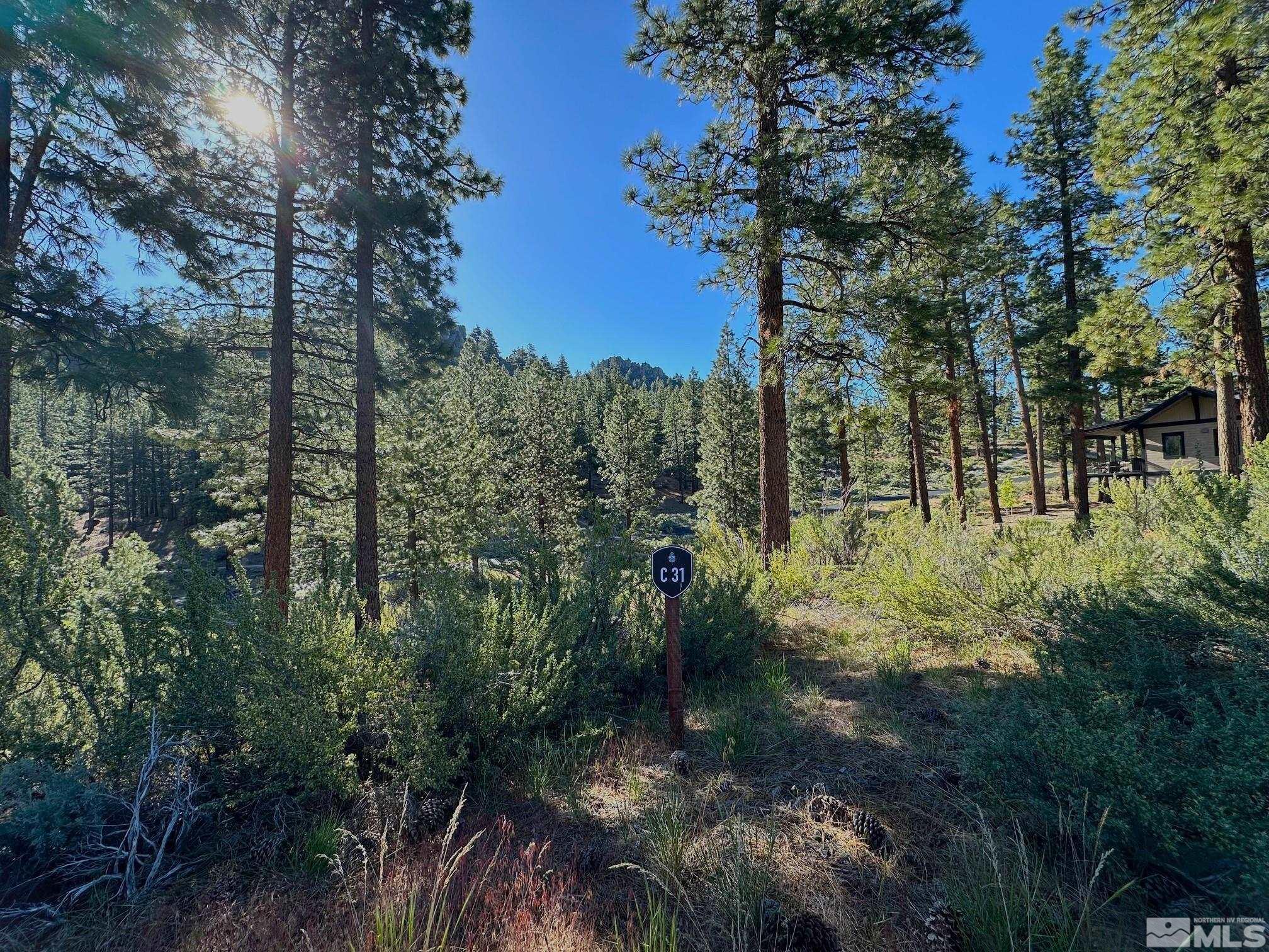 3237 Smt Cp Way, Unit C31 Carson City, NV 89705 - Photo 5 of 22 a big yard with lots of green space and fountain