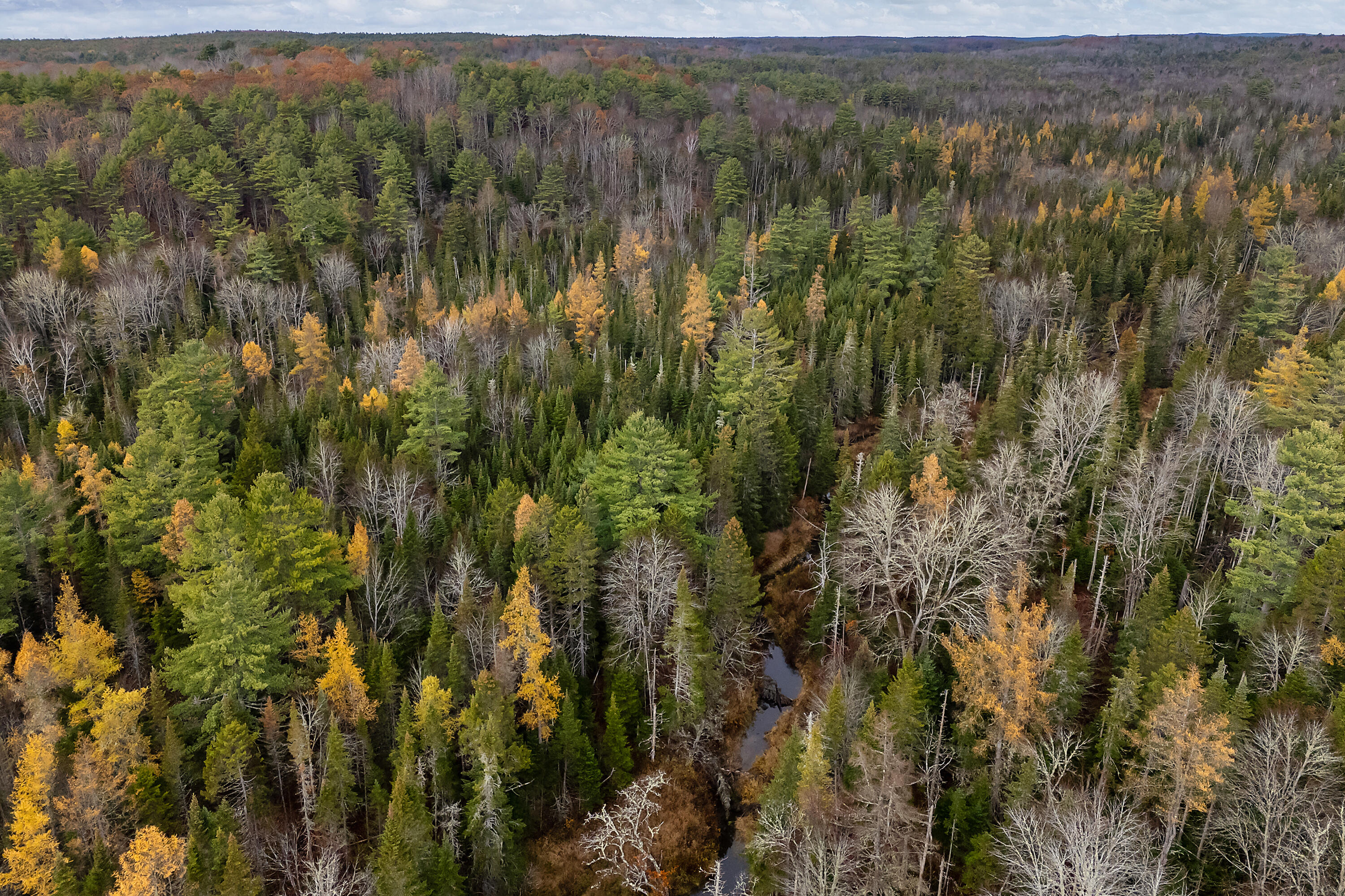 R05-58a West Alna Road Wiscasset, ME 04578 - Photo 16 of 28 0 Easy St_117