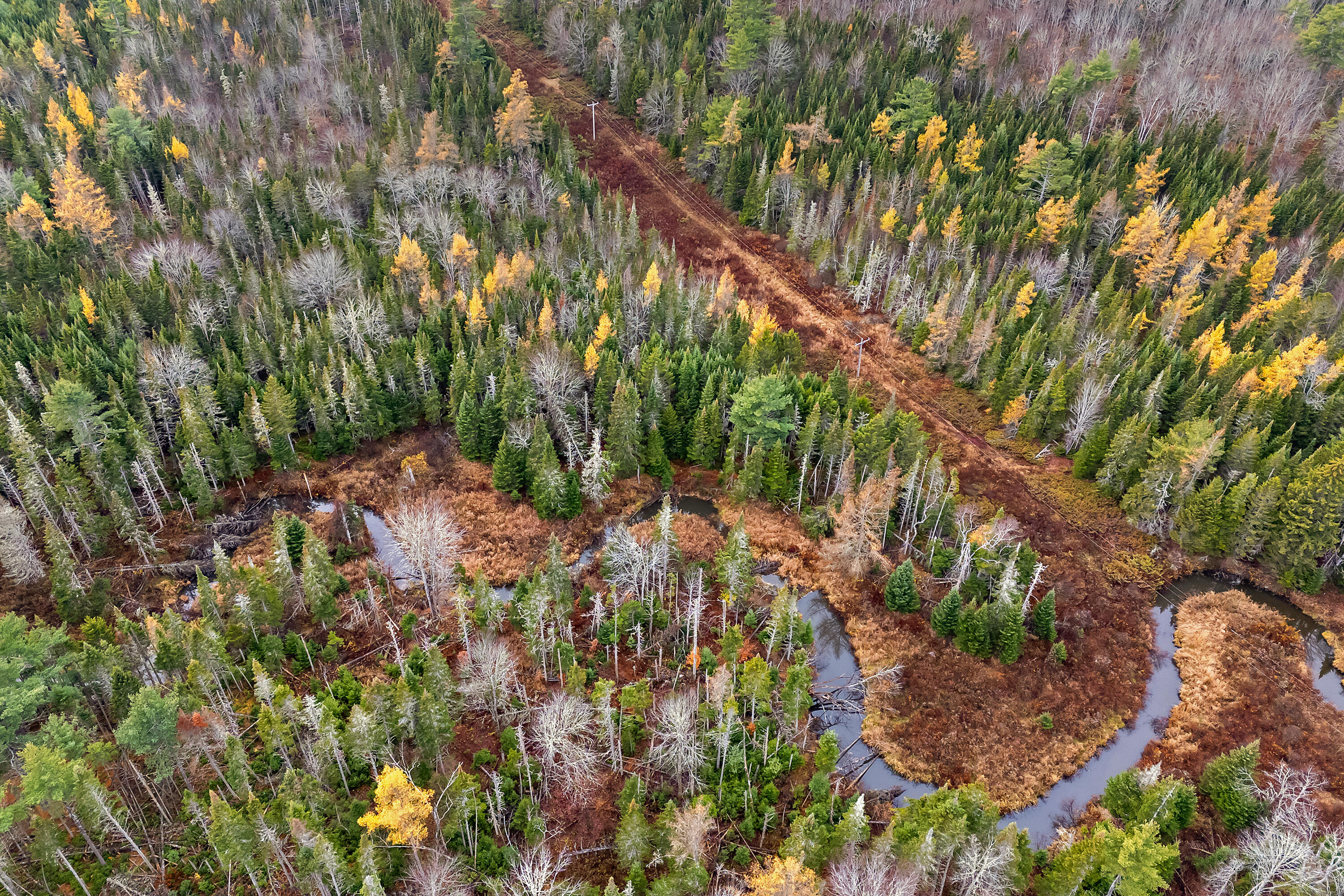 R05-58a West Alna Road Wiscasset, ME 04578 - Photo 17 of 28 0 Easy St_116