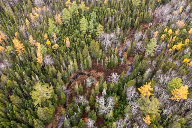 $99,000 | R05-58a West Alna Road, Wiscasset, ME 04578