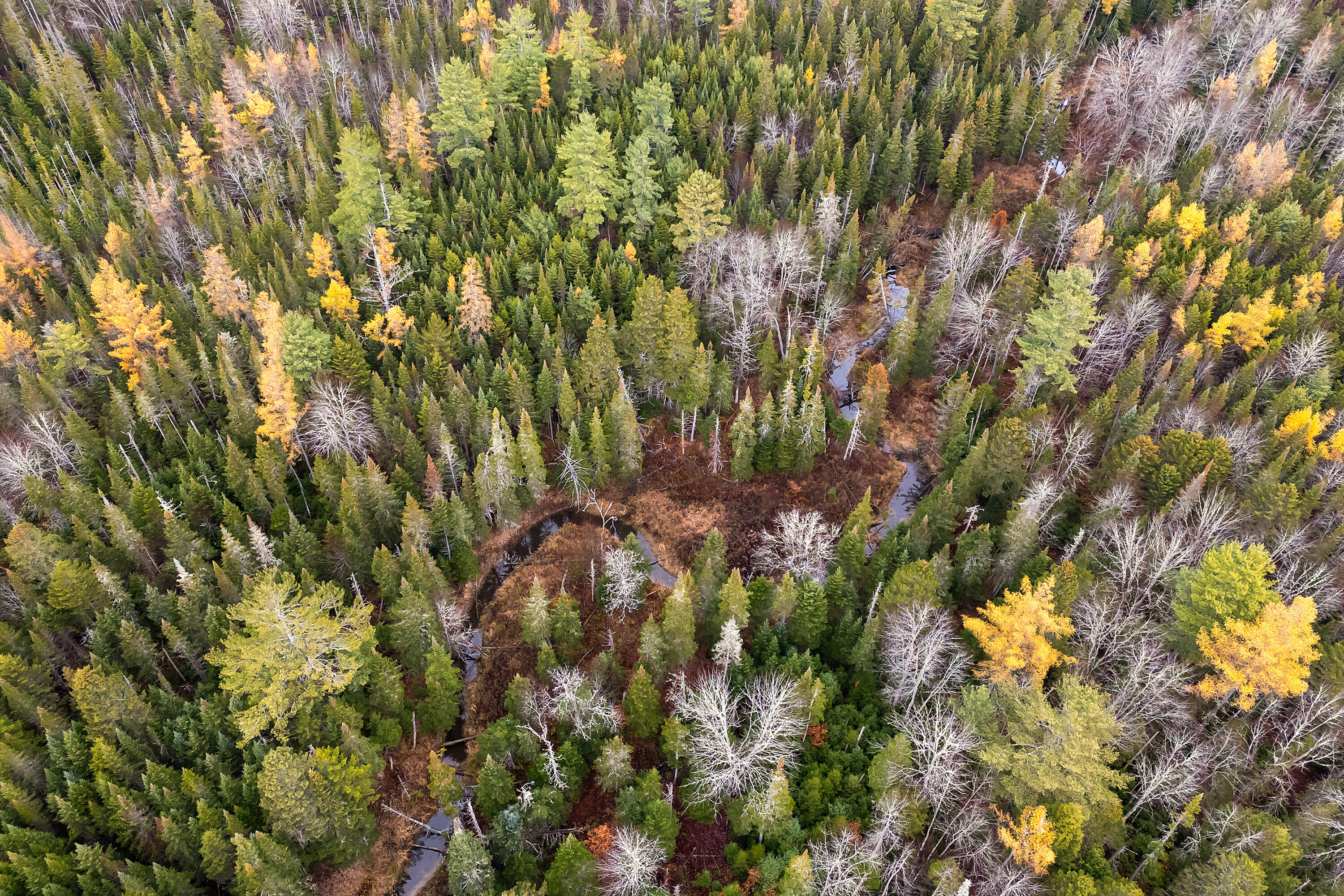 R05-58a West Alna Road Wiscasset, ME 04578 - Photo 18 of 28 0 Easy St_115