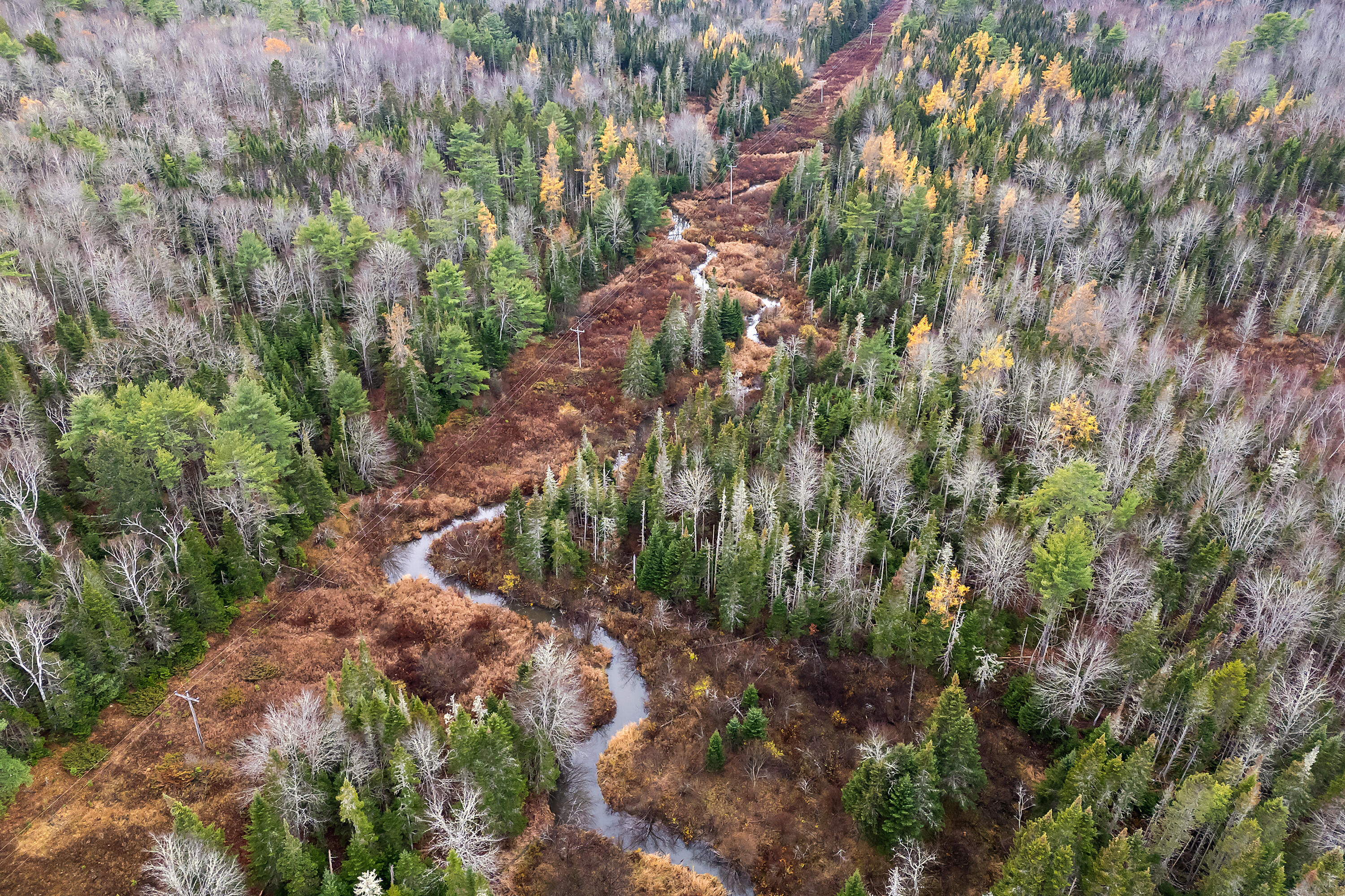 R05-58a West Alna Road Wiscasset, ME 04578 - Photo 19 of 28 0 Easy St_114